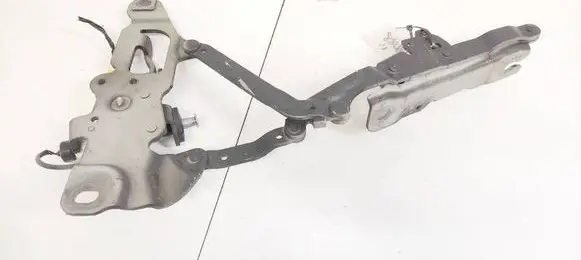 BMW 5 GT F07 Engine bonnet/hood hinges 724988709
