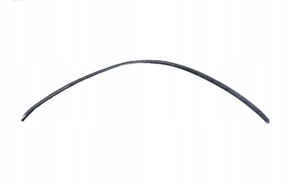 Renault Laguna II Front windscreen/windshield window 