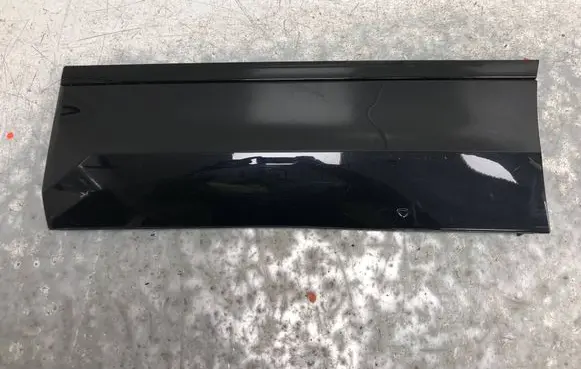 Volkswagen Tiguan Rear door trim (molding) 5NA854949M-BILI 5NA854949M
