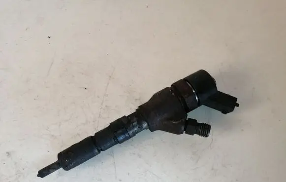 Citroen C5 Fuel injector 0445110008 9635196580