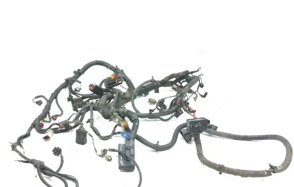 Chrysler Voyager Engine installation wiring loom P04869028AC