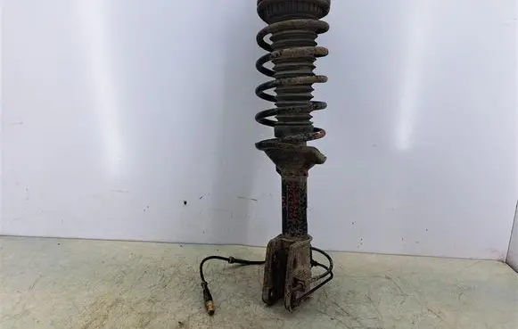 Land Rover Freelander Rear shock absorber with coil spring RPB101650