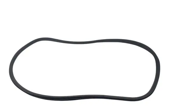 Citroen C3 Front door rubber seal 