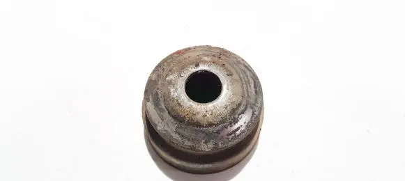 Coil spring mount