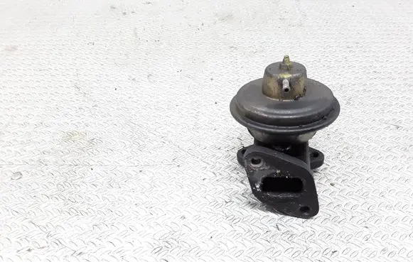 Nissan Terrano EGR valve