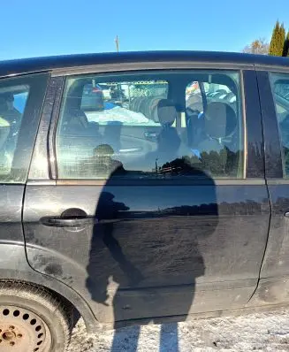 Ford S-MAX Rear door