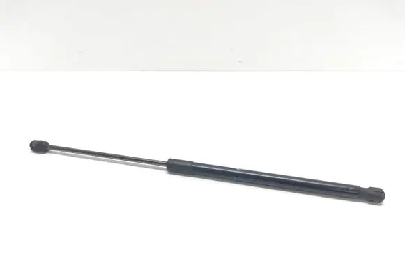 Ford Ecosport Rear shock absorber/damper CN15N400A12BA