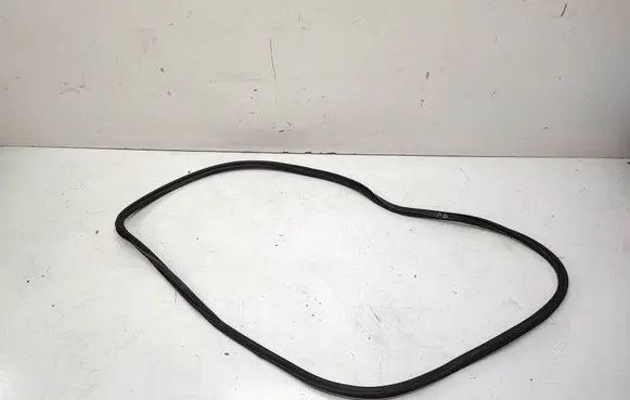 Audi A4 S4 B8 8K Front door rubber seal 8k0831721e