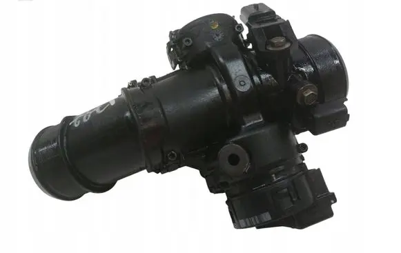 Citroen Berlingo Throttle valve