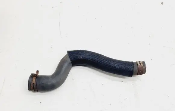 Citroen Berlingo Engine coolant pipe/hose