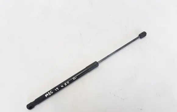 Renault Megane III Tailgate strut 844300009R
