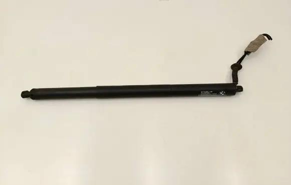 Tailgate/trunk strut/damper