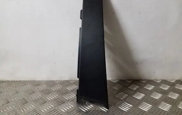 Other rear door trim element