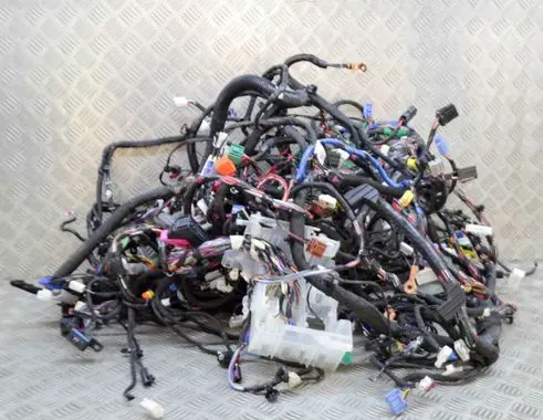 Tesla Model X Other wiring loom 507243600B