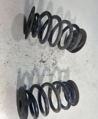 BMW X3 E83 Rear coil spring 
