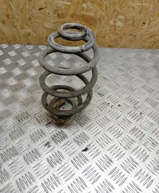 Rear coil spring