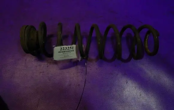 Rear coil spring