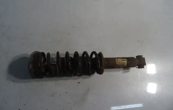 BMW X3 F25 Rear shock absorber with coil spring 6796422