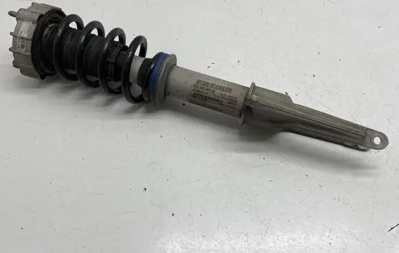 Porsche Panamera (970) Front shock absorber with coil spring 97034304532