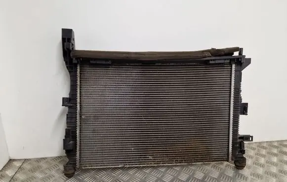 Ford Transit - Tourneo Connect Coolant radiator BV618005BD
