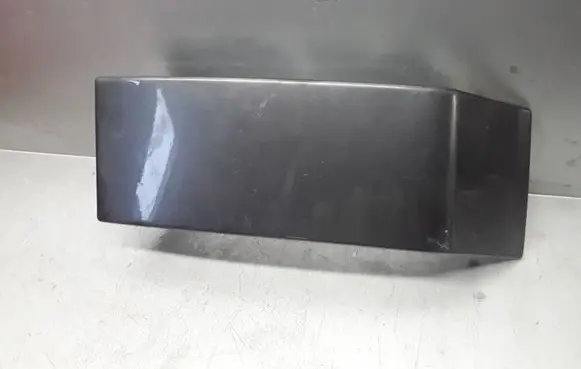 Rear/tail light trim molding