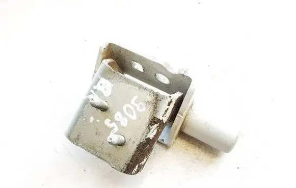Renault Zoe Rear door lower hinge 864601