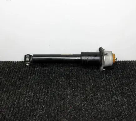 BMW X5 E70 Rear shock absorber/damper 6781922