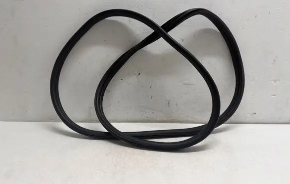 BMW X1 F48 F49 Front door rubber seal 7349628