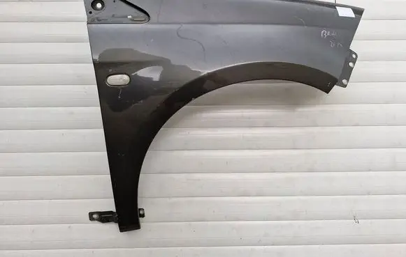 Fiat Bravo Fender 534534354354534