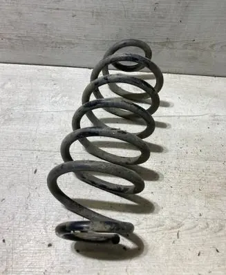 Rear coil spring