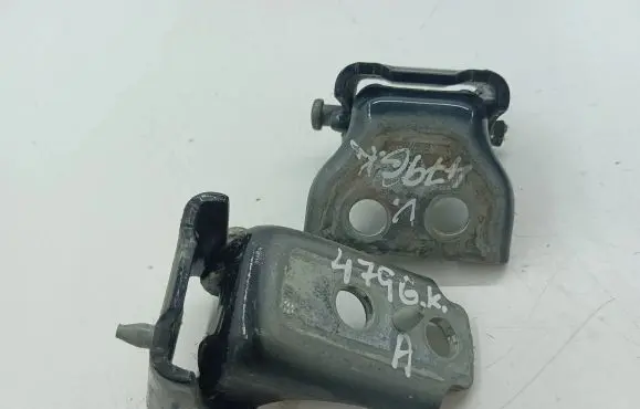 Peugeot 508 Rear door hinge set 