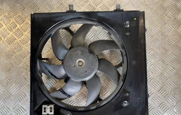 Citroen C3 Electric radiator cooling fan 9829774580 FS2239 T85755C