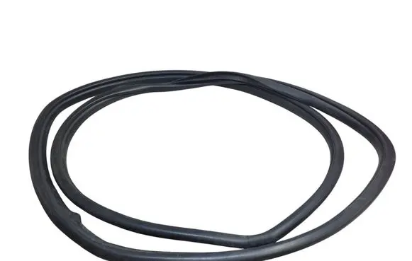 Lexus NX Rear door rubber seal (on body)
