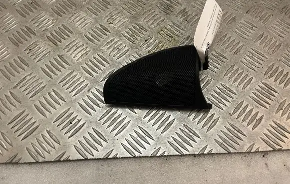 Front door high frequency speaker