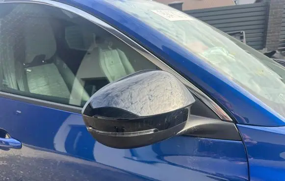 Renault Austral Front door electric wing mirror FWEF