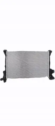 Renault Trafic III (X82) Coolant radiator 214106419R