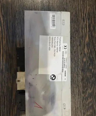 BMW X5 E70 Tailgate/trunk control unit/module 7317419