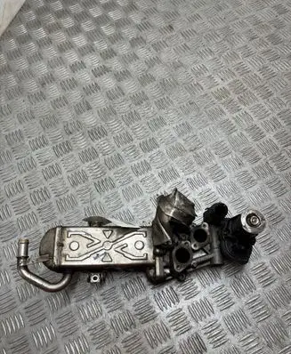 Volkswagen Golf VII EGR valve 0280751016 1172505