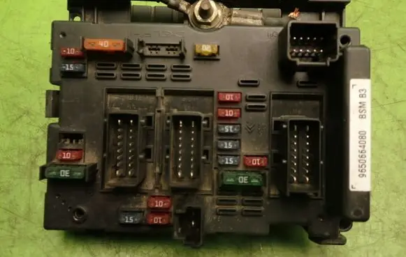 Peugeot 307 BSM Control unit 965066408040391183