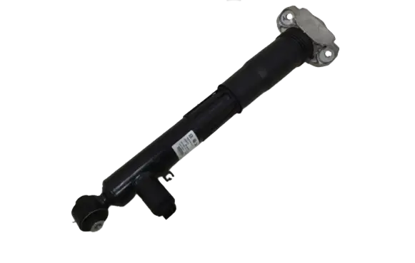 Volkswagen ID.4 Rear shock absorber/damper 1EE512037B