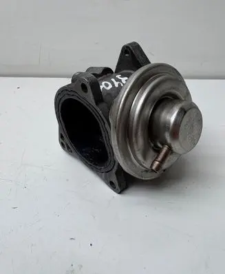 Volkswagen Golf V EGR valve 038131501AN 325703044