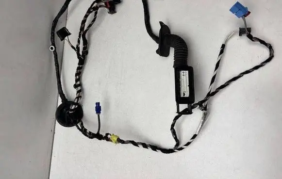 Volkswagen PASSAT B8 Front door wiring loom 3G2971121AF