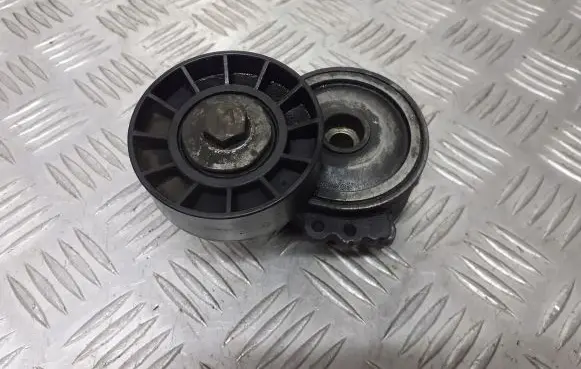 Citroen C5 Alternator belt tensioner pulley 