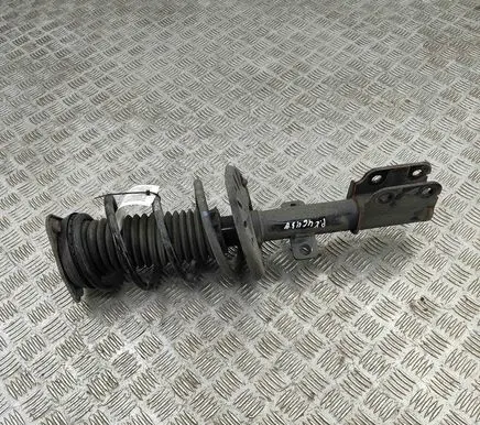 Citroen C5 Aircross Front shock absorber/damper 9833696680