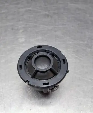 Front door high frequency speaker