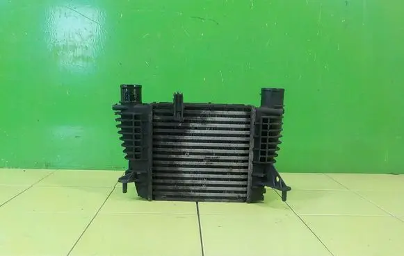 Nissan Juke I F15 Intercooler radiator 16AB90