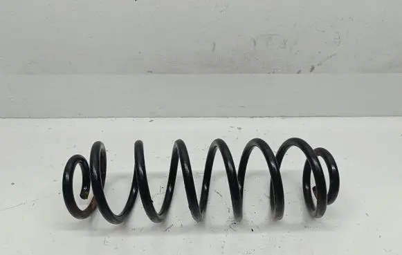 Volkswagen Jetta V Rear coil spring