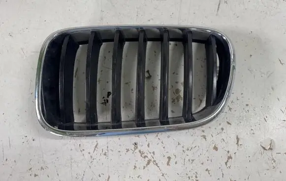 BMW X3 F25 Front bumper upper radiator grill