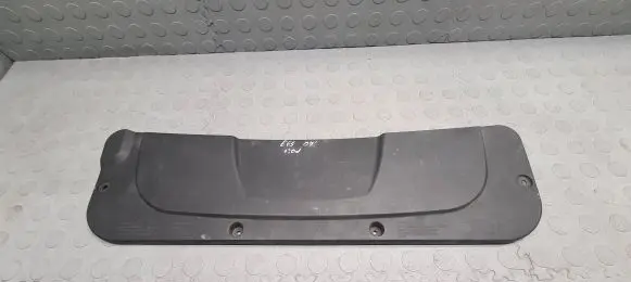Radiator trim