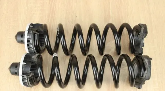 Rear coil spring